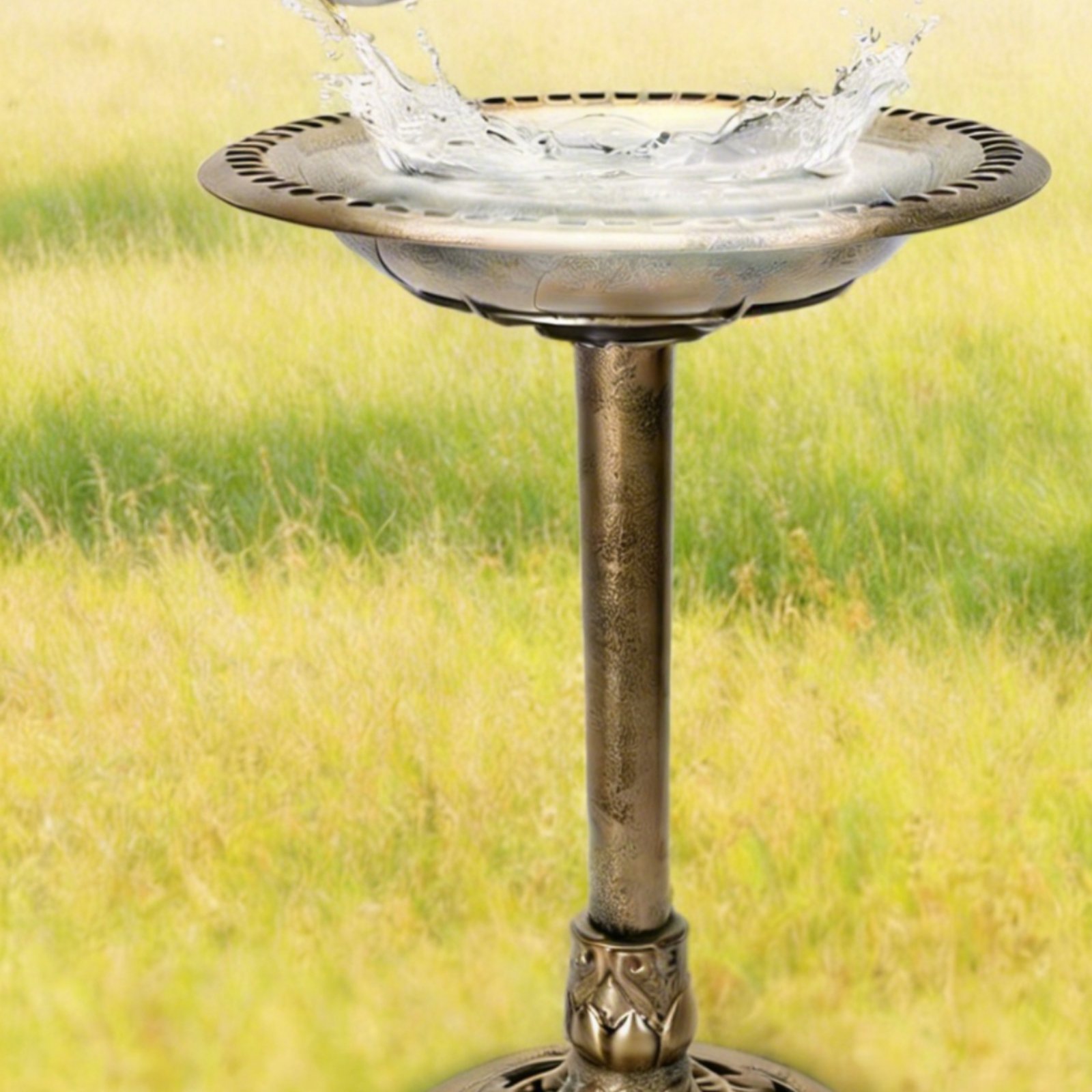 حوض استحمام للطيور مع قاعدة تث - مراجعة Feeding وسعره